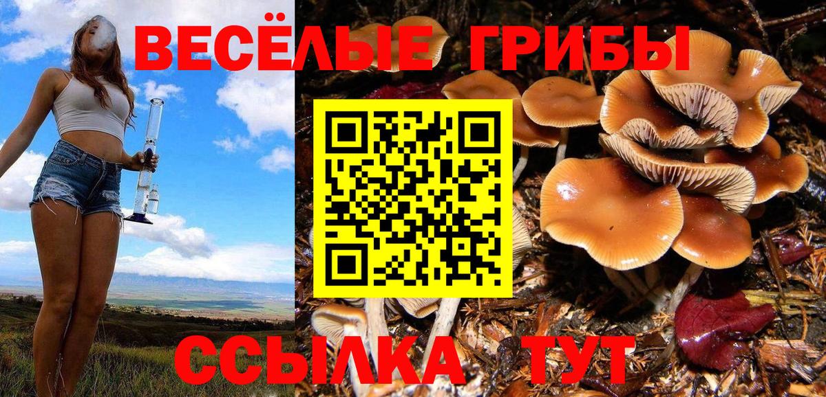 Псилоцибиновые грибы мухоморы  Вход с VPN  Галлюциногенные грибы ЛСД  Саяногорск 
