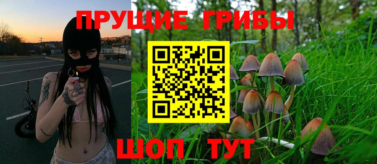 Галлюциногенные грибы GOLDEN TEACHER Саяногорск